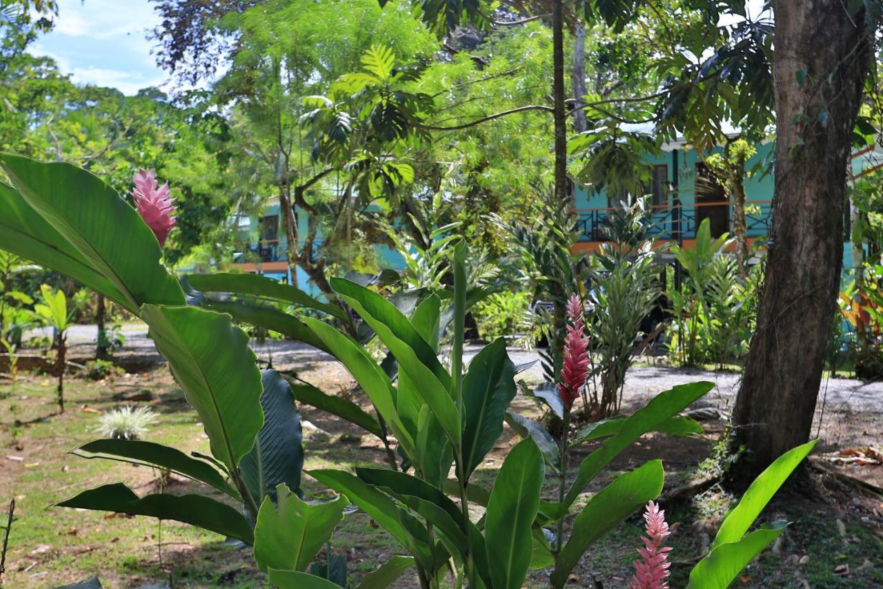 Manzanillo Caribbean Resort Puerto Viejo de Talamanca Extérieur photo